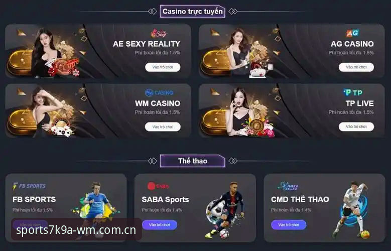 WMSPORTS官方网站 WMSPORTS官方网站下载安装教程:顶级体育平台使用全攻略